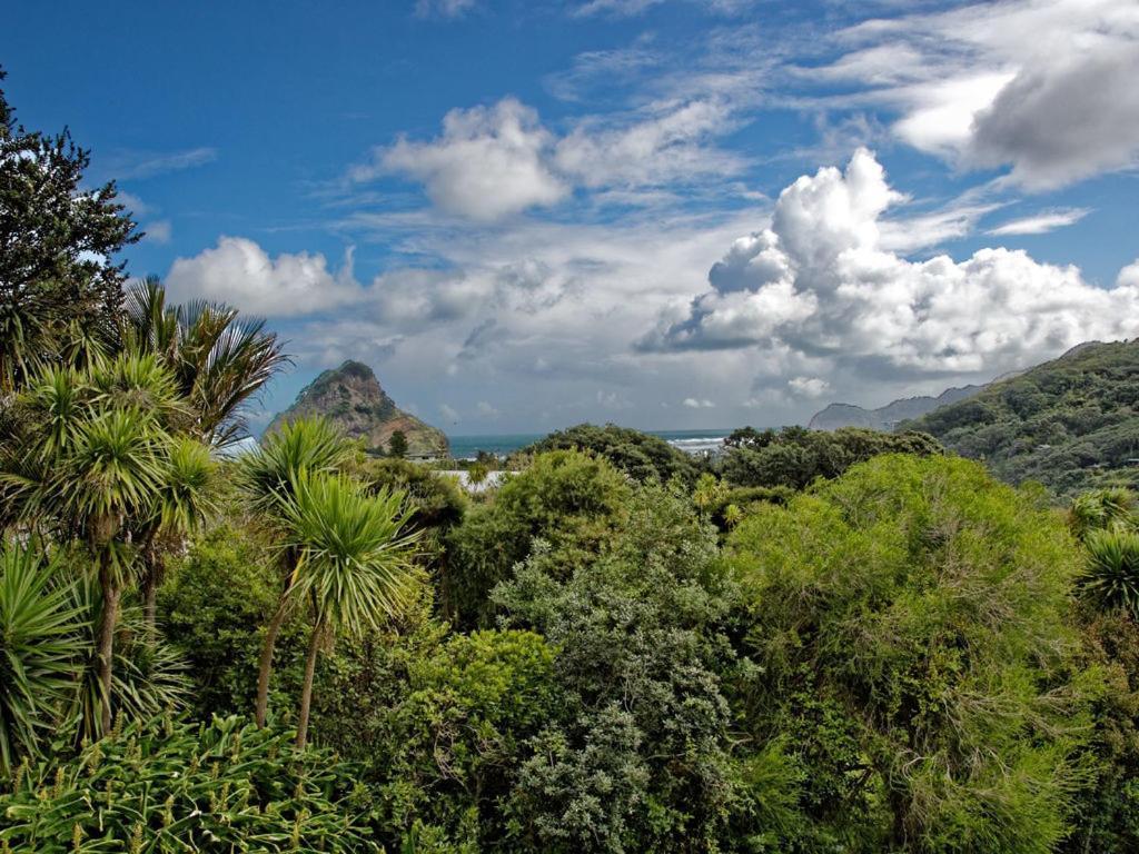 Surfer'S Sunshine Cottage - Piha Holiday Home Kültér fotó